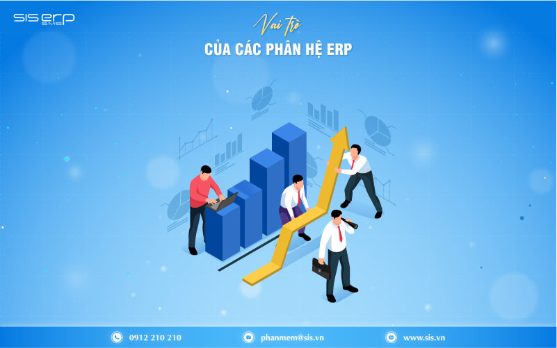 vai trò của phân hệ erp